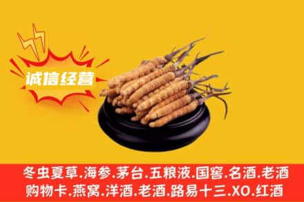 肇庆市怀集回收冬虫夏草